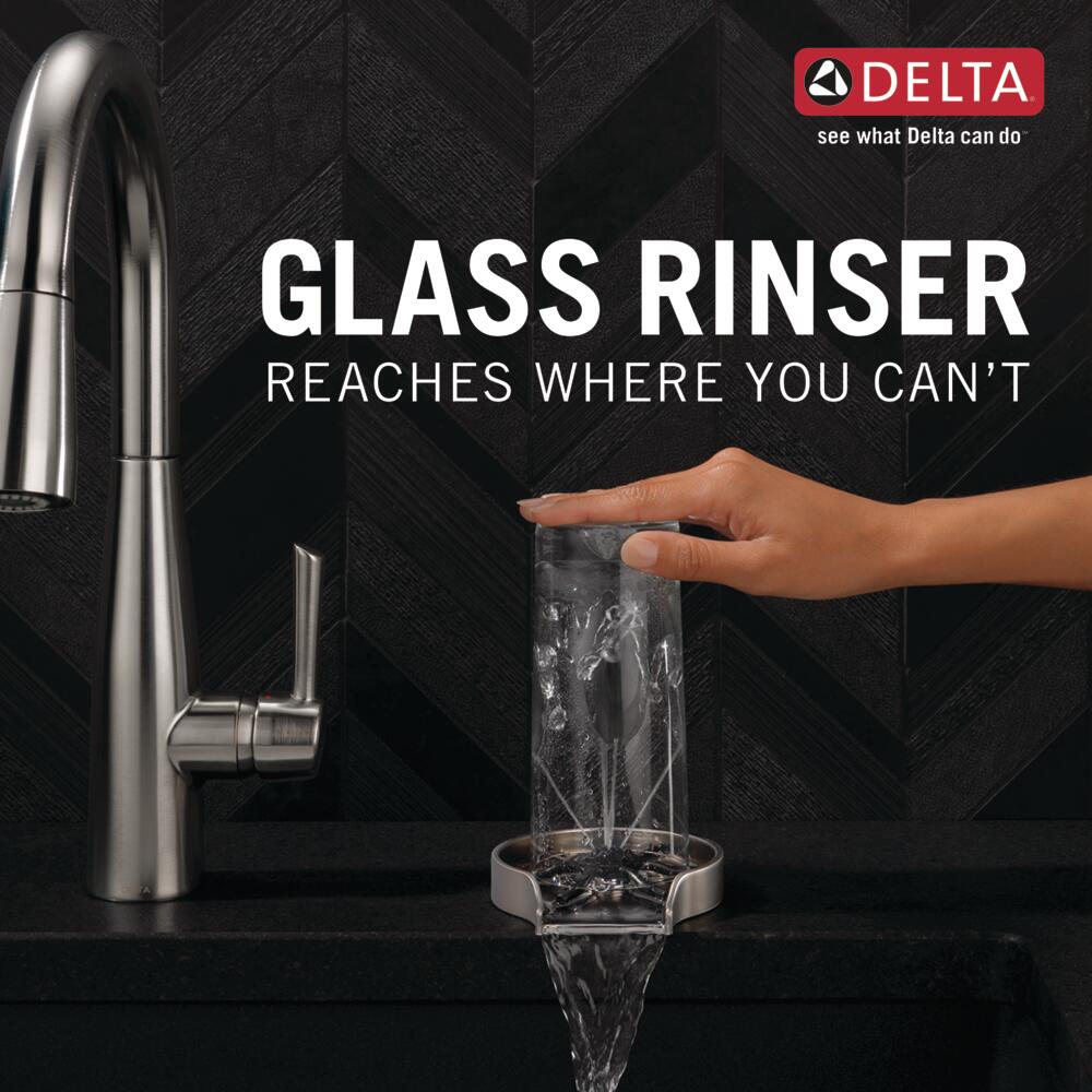 Delta Glass Rinser