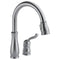 Delta Leland Single Handle Pull-Down Kitchen Faucet