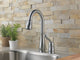 Delta Leland Single Handle Pull-Down Kitchen Faucet