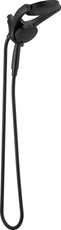 Delta HydroRain 4-Setting Two-in-One Shower Head