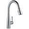 Delta Essa Pull-Down Kitchen Faucet