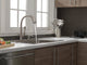 Delta Ashton Single Handle Pull-Down Kitchen Faucet