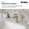 Esta Single Handle Bathroom Faucet with Lift Rod Drain