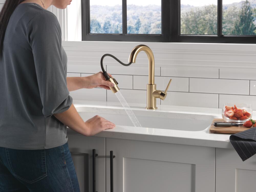 Delta Trinsic Single Handle Pull-Down Bar/Prep Faucet