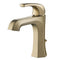 Esta Single Handle Bathroom Faucet with Lift Rod Drain