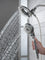 Delta In2ition 5-Setting 2-in-1 Combination Showering