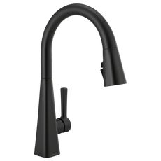 Delta Lenta Pull-Down Kitchen Faucet Single Handle