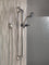 Peerless Choice Slide Bar and Handshower